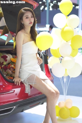 THEBEAUTY 2021广州车展 奇瑞车模13 [1V686M]