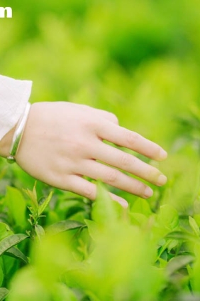 [YITUYU艺图语]2025.06.24 茶山行 般若[17P215M]