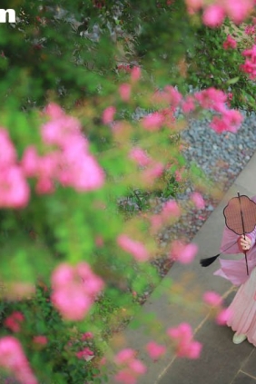 [YITUYU艺图语]2025.07.02 紫薇花开 一只大大大李子[27P62M]