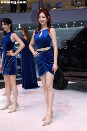 2024年广州国际车展图集[879P15.6G]