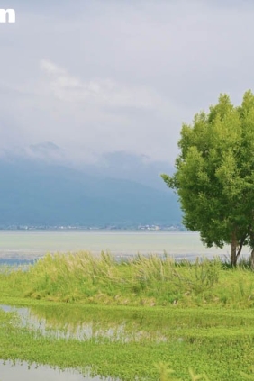 [YITUYU艺图语]2025.08.19 拉市海湿地公园[13P221M]