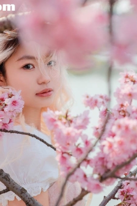 [YITUYU艺图语]2025.03.29 樱花树下 典典[16P910M]