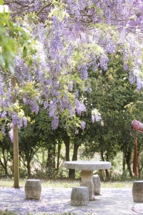 [YITUYU艺图语]2025.04.21 藤下小记 小y今天也很开心[26P296M]