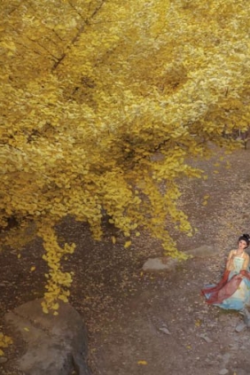 [YITUYU艺图语]2025.11.01 一叶知秋诗意浓 冰皮月亮蛋~[12P480M]