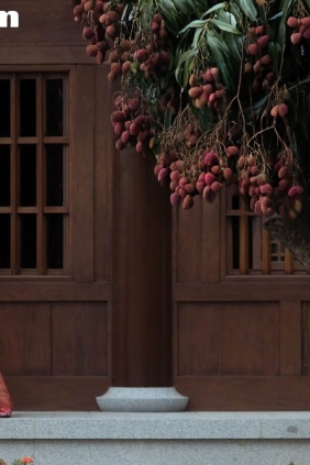 [YITUYU艺图语]2025.08.31 古寺荔枝 Arya[30P247M]