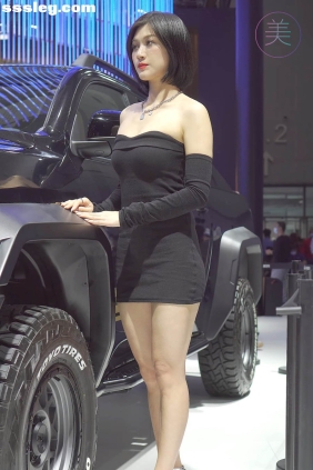 THEBEAUTY 2021广州车展 HAVAL车模02 [1V165M]