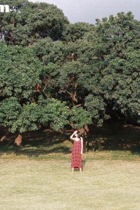 [YITUYU艺图语]2025.04.10 11月结束之前 雪莉[25P220M]