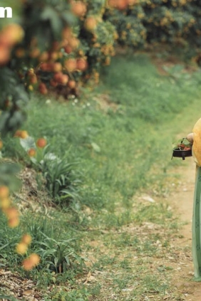 [YITUYU艺图语]2025.08.29 荔枝香 云中君[33P352M]