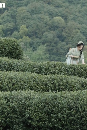 [YITUYU艺图语]2025.07.26 采茶 是南渊不是洲[81P880M]