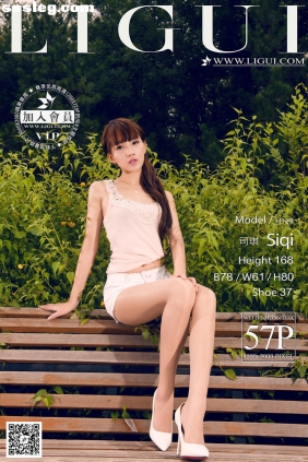 [Ligui丽柜]2014.12.11 网络丽人 Model 司琪