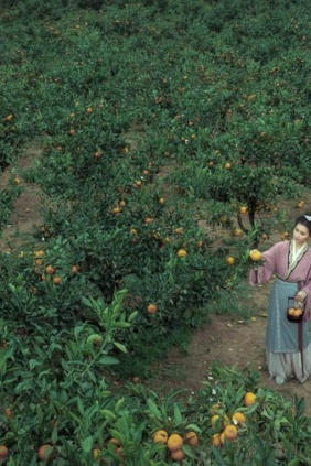 [YITUYU艺图语]2025.10.31 大橘为重 冰皮月亮蛋~[12P459M]