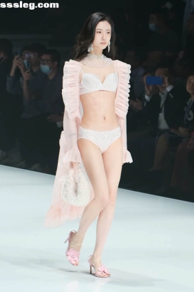 2025深圳內衣展秀场视频集[35V14.8G]