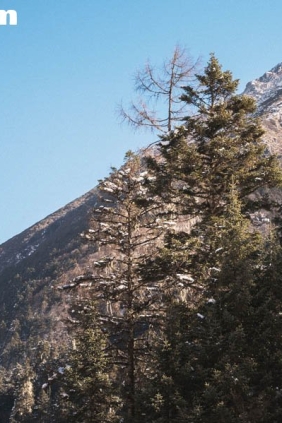 [YITUYU艺图语]2025.08.17 赴一场约 阿喵的饭饭[25P342M]