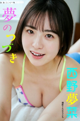 西野夢菜 夢のつづき[67P23M]