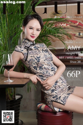 [Ligui丽柜]2017.11.27 Model AMY