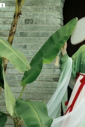 [YITUYU艺图语]2025.08.23 蕉叶潇潇 谨陬捌[14P282M]