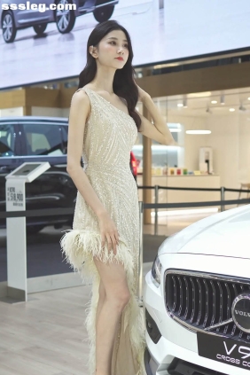 THEBEAUTY 2021深圳车展 VOLVO车模02 [1V249M]