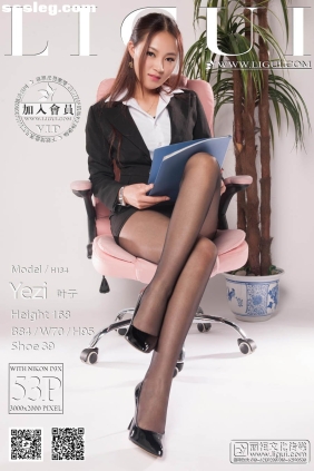 [Ligui丽柜]2014.04.22 网络丽人 Model 叶子