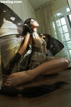 蠢沫沫 枯叶蝶[91P1.22G]