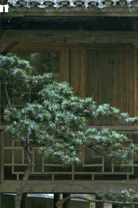 [YITUYU艺图语]2025.09.23 山中闲居 大王山大王[40P529M]