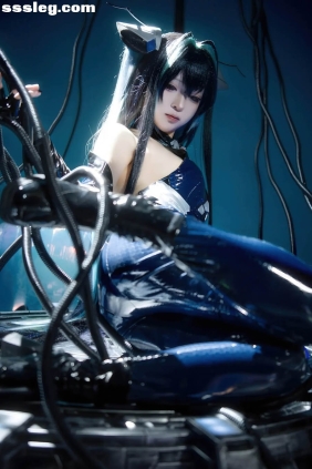 矢量鱼 小美人鱼 赛莲[24P91M]