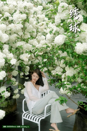 [YITUYU艺图语]2025.07.30 绣球 Chenaling_CL[20P535M]