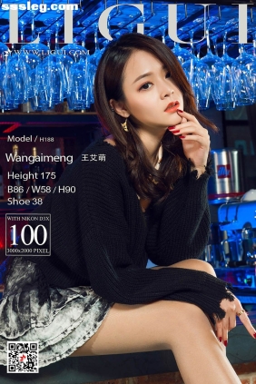 [Ligui丽柜]2018.01.27 Model 王艾萌