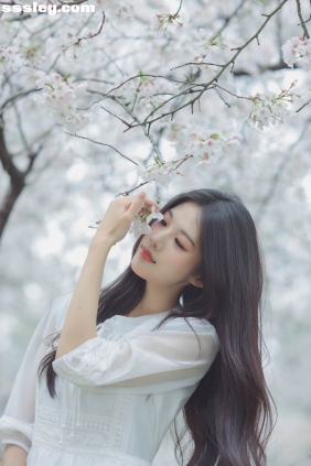 [YITUYU艺图语]2026.03.26 白色樱花 西西[28P225M]