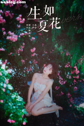 [YITUYU艺图语]2024.07.10 生如夏花 Disexi思宁[26P315M]